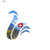 Dextra protection juridique home qualité cygne logo avec des montagnes suisses