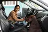 Dextra protection juridique particuliers move XL femme avec chien en voiture