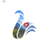 Dextra protection juridique qualité cygne logo avec des montagnes suisses